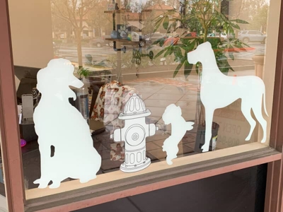 Window Graphics Photo